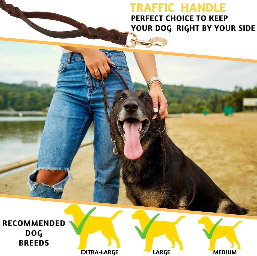 Leather Dog Leash with Traffic Handle, 6Ft, Medium & Large Dogs