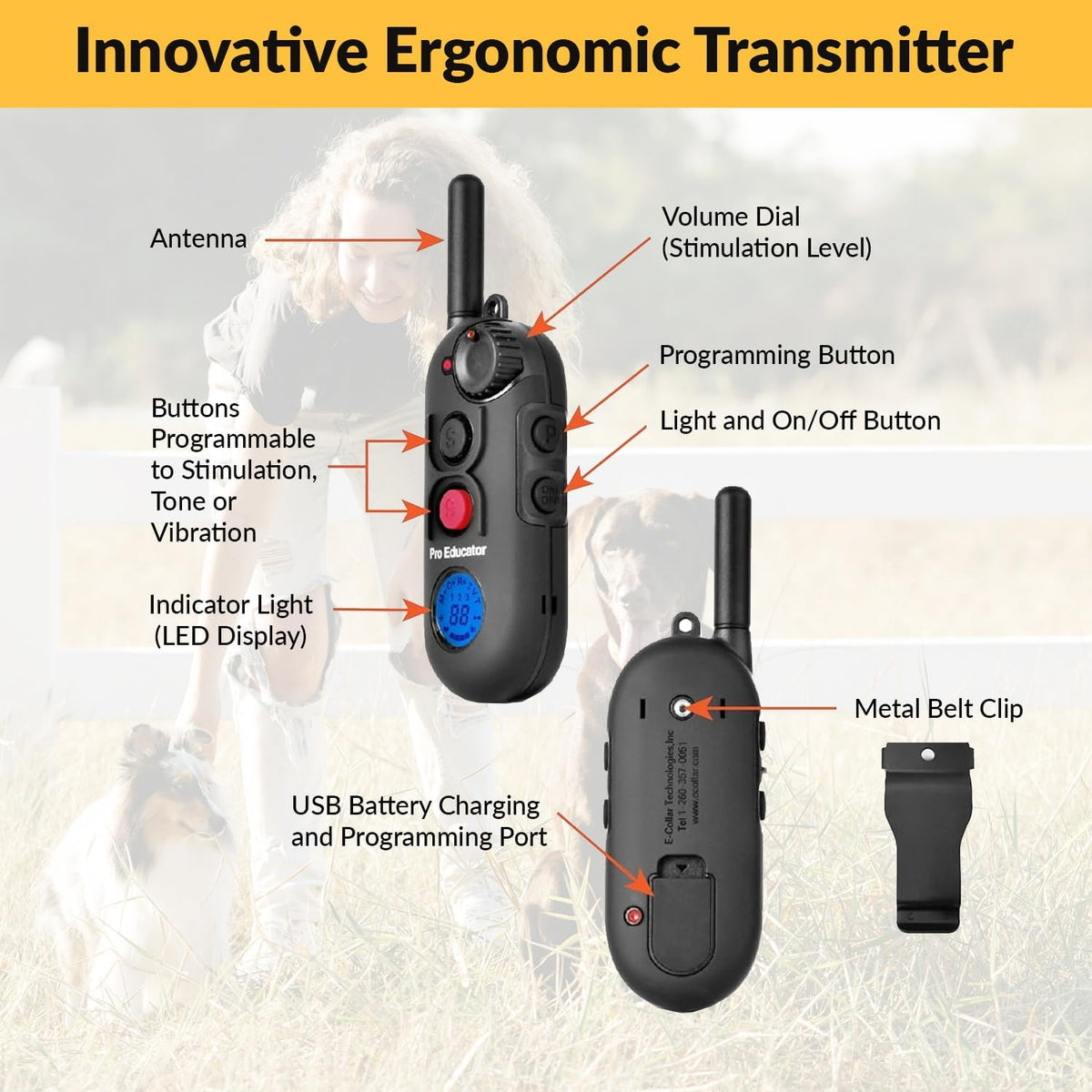 E-Collar  Pro PE-900 Dog Training Collar, 1 Dog, Black