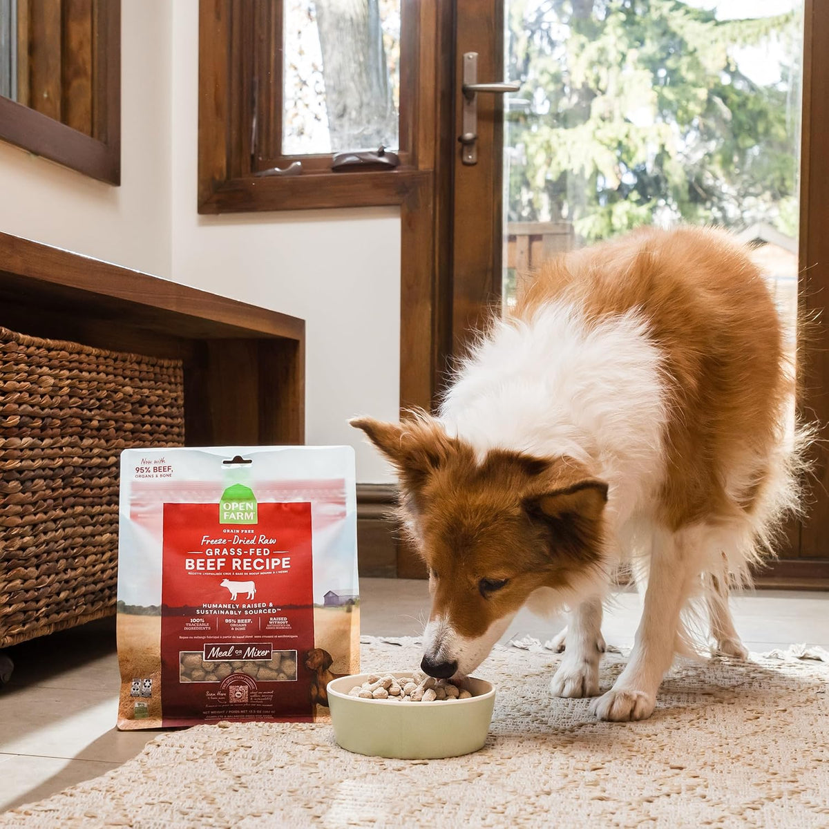 Freeze Dried Raw Puppy Food, Chicken & Salmon Morsels, 13.5Oz Bag
