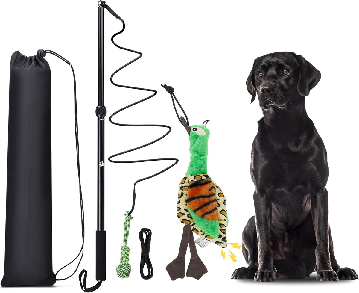 Flirt Pole Dogs, Dog Chase Toy with Squeakers Inside, Dog Fishing Pole Toy for Large Medium Small Dogs to Keep the Puppy Entertained and Physically Exhausted, Ball+Duck