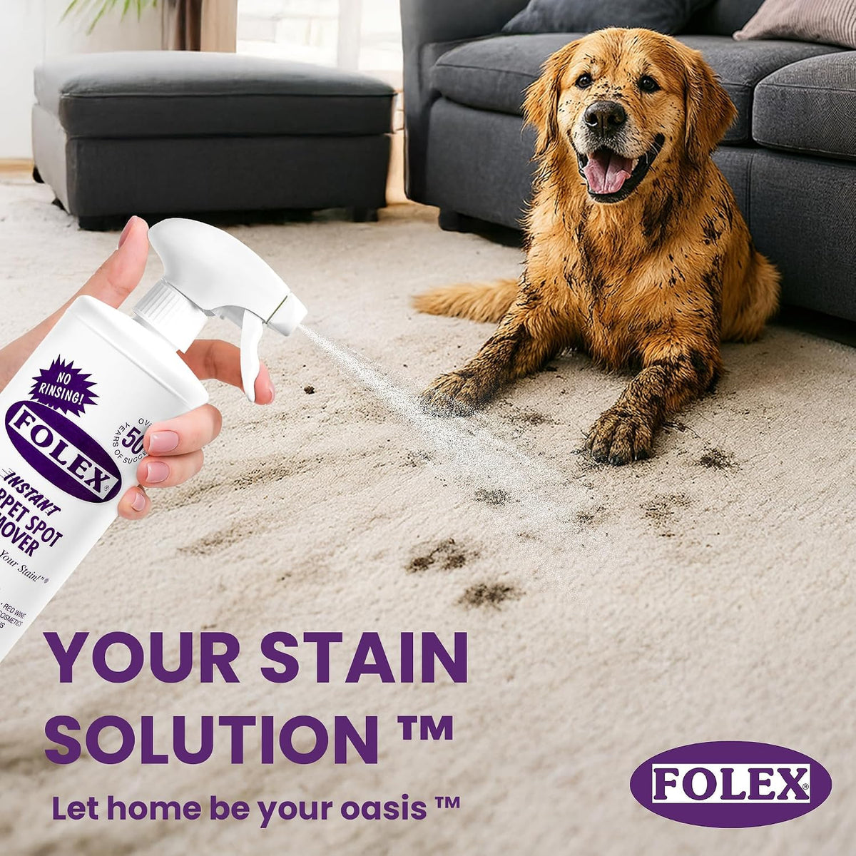 Instant Carpet Spot Remover 32 Oz – Powerful Stain Remover for Carpets, Upholstery & Rugs – Eliminates Pet Stains, Grease, Red Wine, Food, Makeup & More – with Reusable Cleaning Cloth - 2 Pack