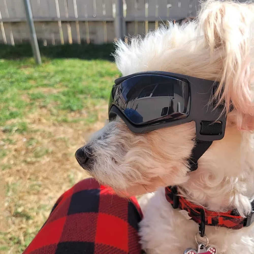Pet Goggles Outdoor Travel UV Protection Cat Dog Sunglasses Adjustable Snow Windproof Soft Frame Pet Goggles Dog Accessories