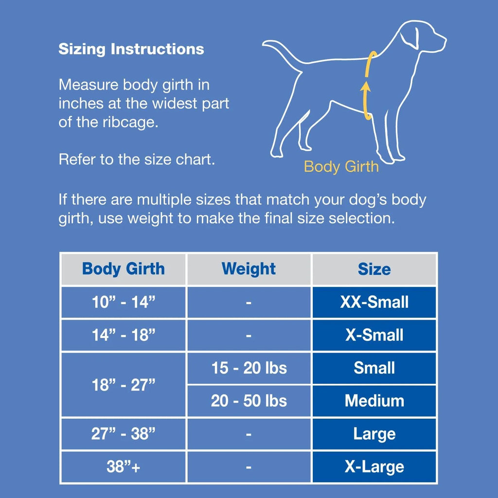Paws aboard Dog Life Jacket - Keep Your Canine Safe with a Nylon Life Vest - Designer Life Jackets - Perfect for Swimming and Boating - Nautical Dog, Small