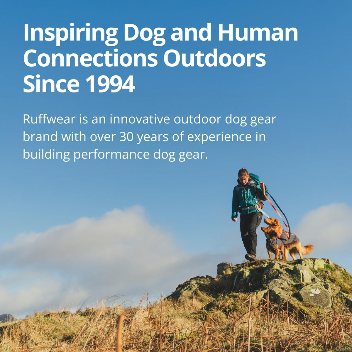 , Sun Shower Dog Raincoat, Earth Brown, Large