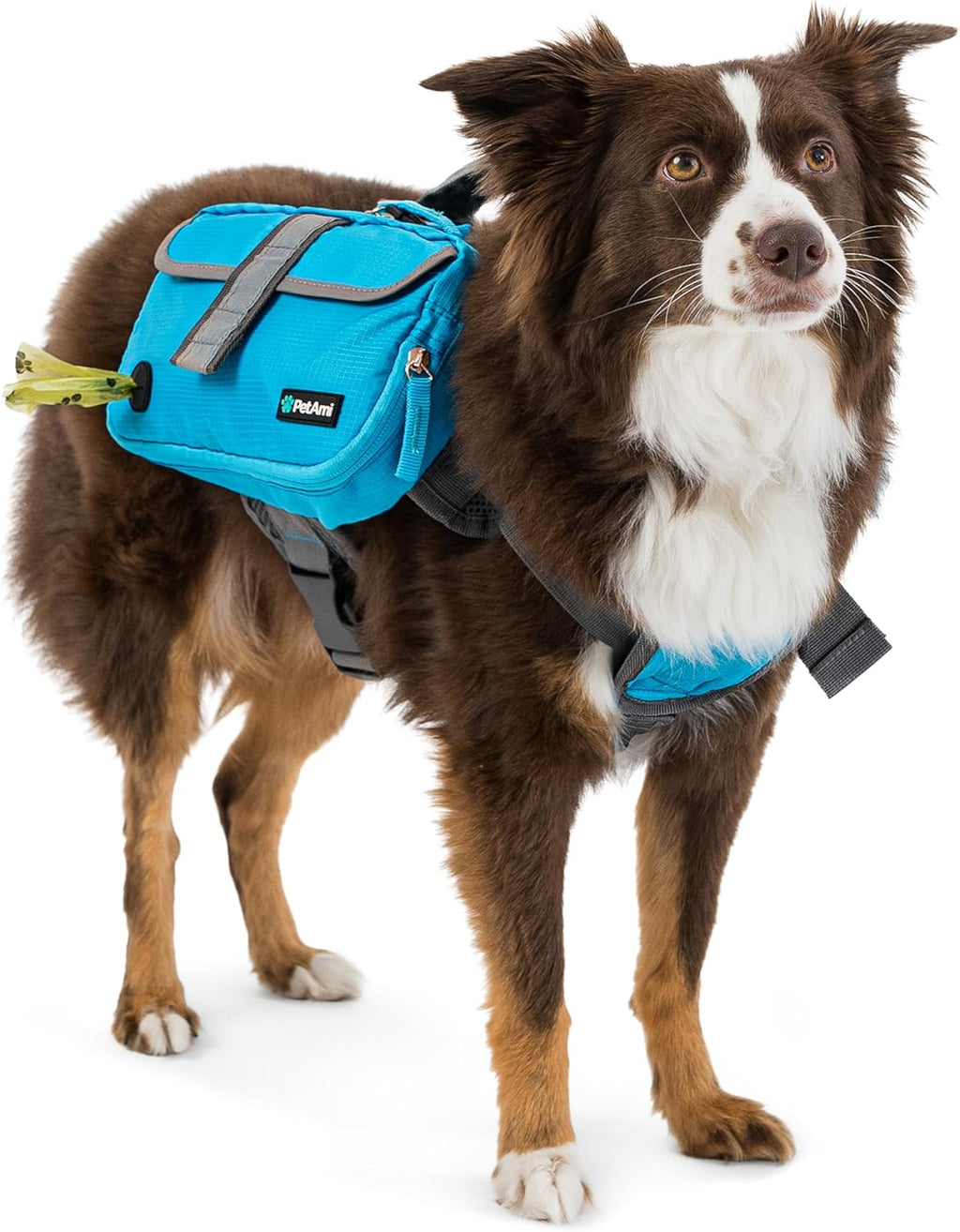 Dog Backpack for Medium Large Dogs, Hiking Saddle Bag, Blue