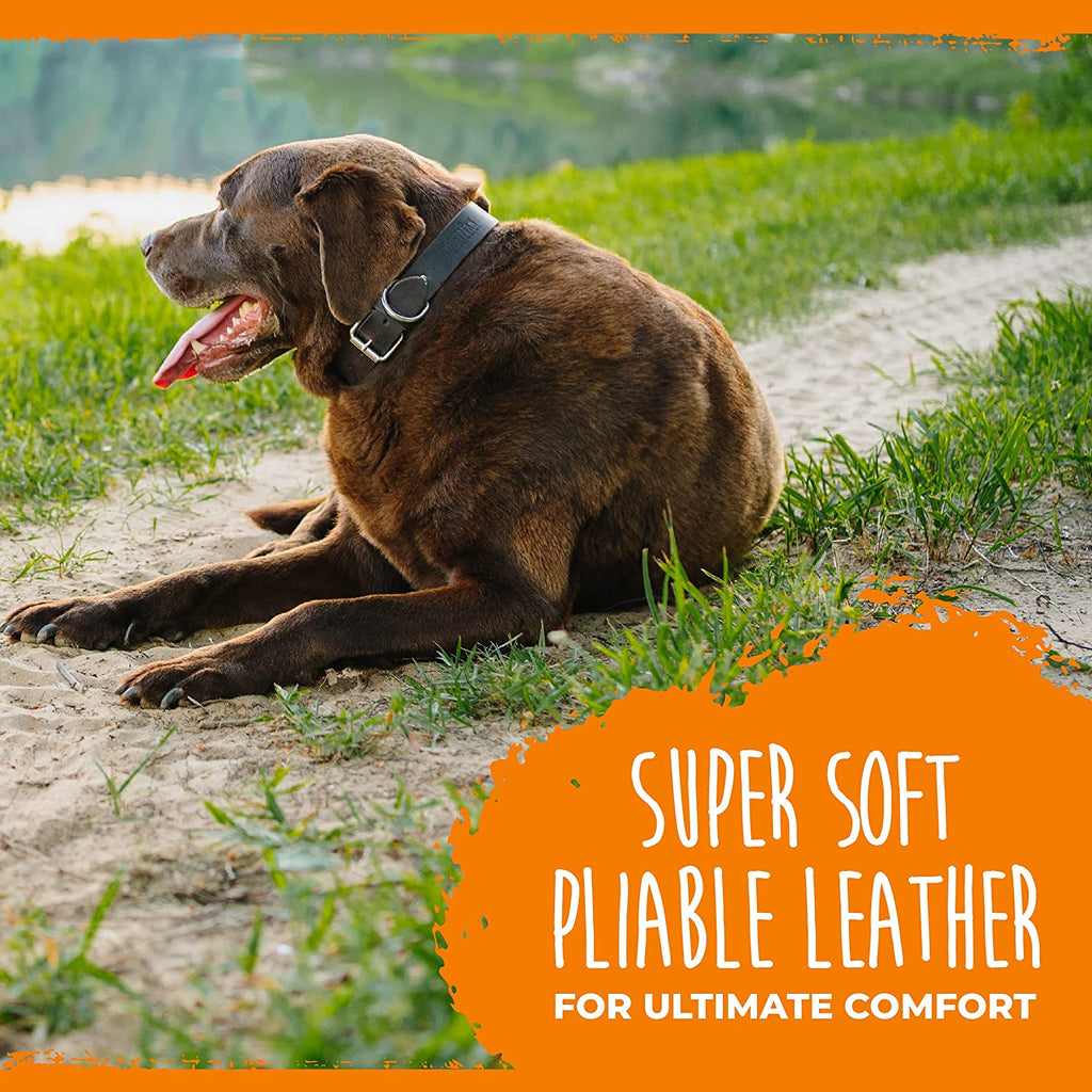 Leather Dog Collar - Genuine Distressed Leather - Strong Metal Buckle - Ultimate Comfort - Modern Style for All Dogs Breeds - Comfort Puppy Collar - (Large - Brown)