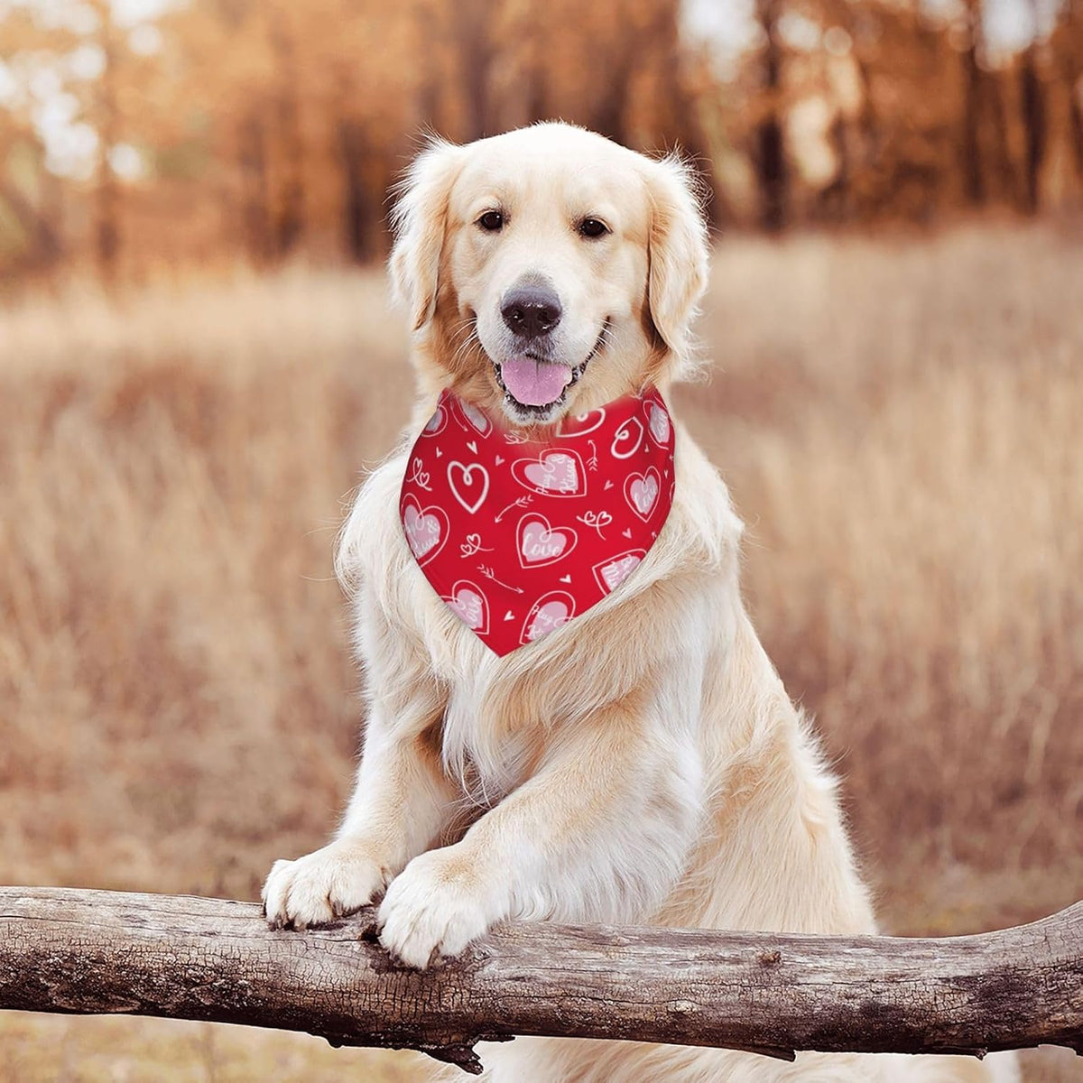 Dog Bandana Scarf Triangle Bibs Pet Accessories Cat Kerchief