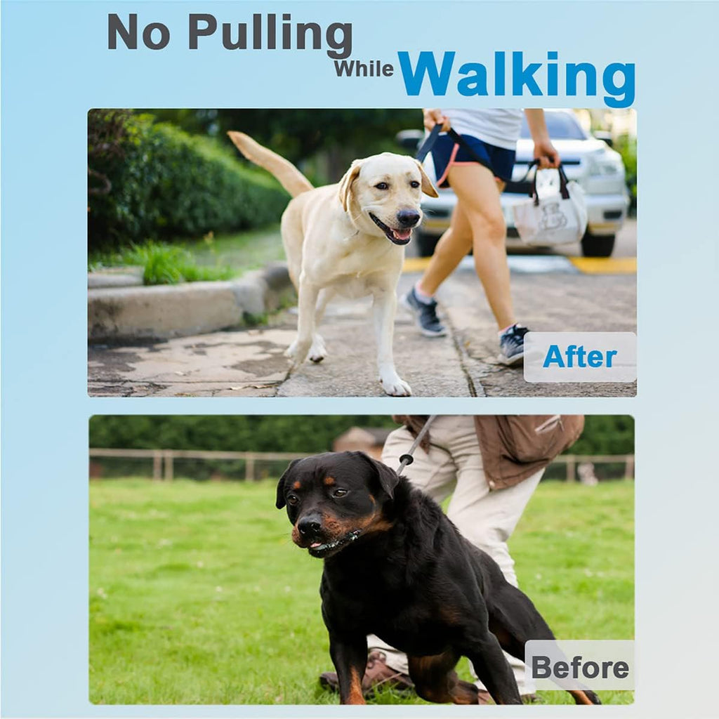 Prong Collar for Dogs, Dog Training Collar for Small Medium Large Dogs
