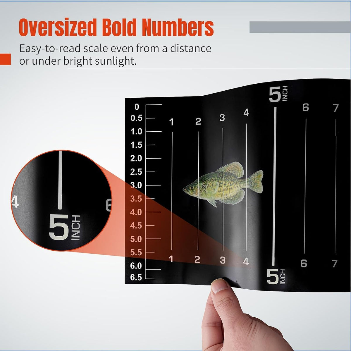 51 X 6.5 Inch Glow in the Dark Fish Ruler for Boat, Waterproof PVC Fish Measuring Sticker, Large Scale Fishing Measuring Tape for Big Fish, Self-Adhesive and Durable – 1PCS