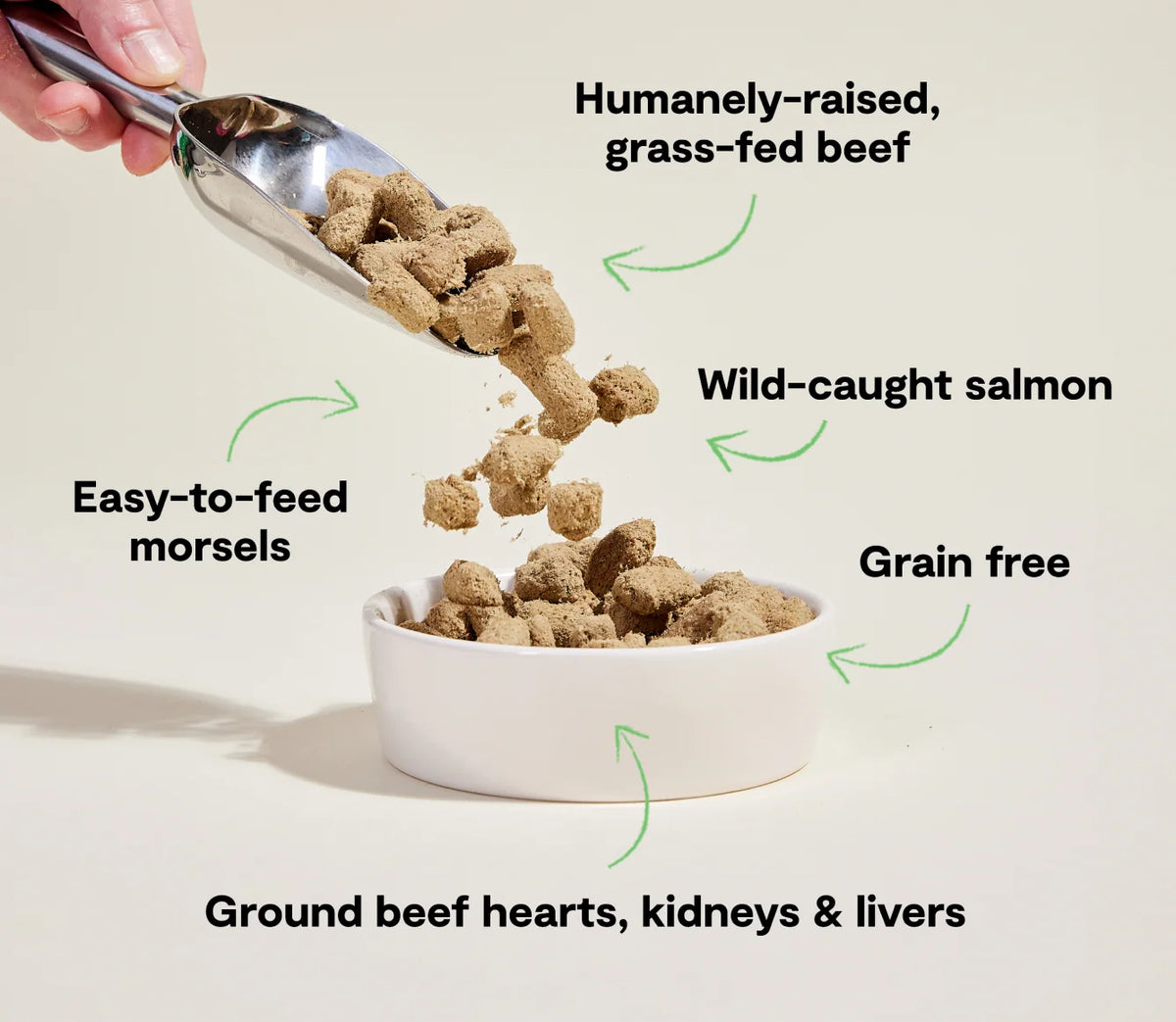 Surf & Turf Freeze Dried Raw Morsels for Dogs