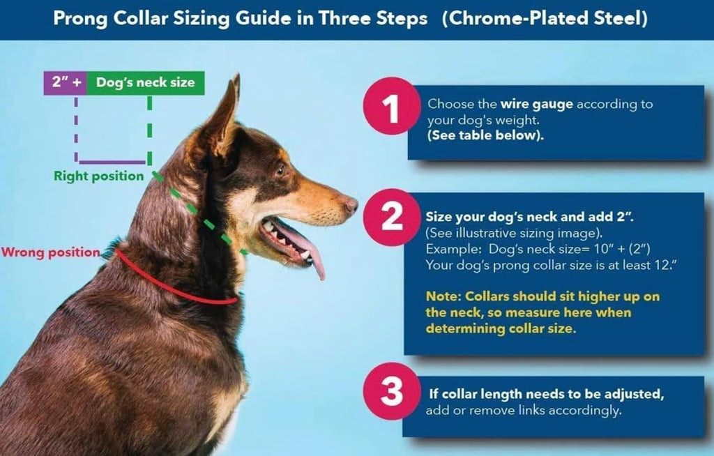 2.25Mm Prong Collar for Dogs Training – Quick Release Buckle & Swivel Ring for Easy Use – Made of Durable Chrome Plated Stainless Steel in Germany– (14-19" Neck)