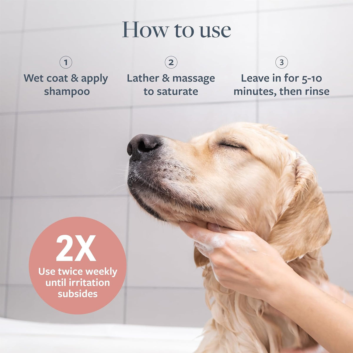 Clinical Care Hot Spot & Itch Relief Pet Shampoo, 16 Oz