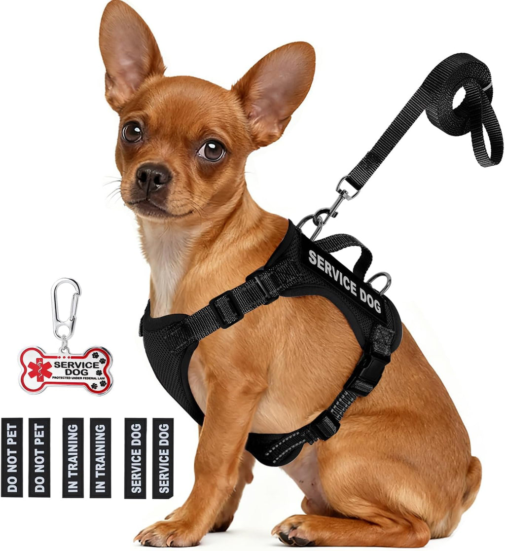 Service Dog Vest for Small Breed Dogs with ID Tag – Lightweight Puppy Harness and Leash Set with 6 PCS Patches, Ideal Service Animal Vest for Training, Complete Service Dog Gear, Black, S