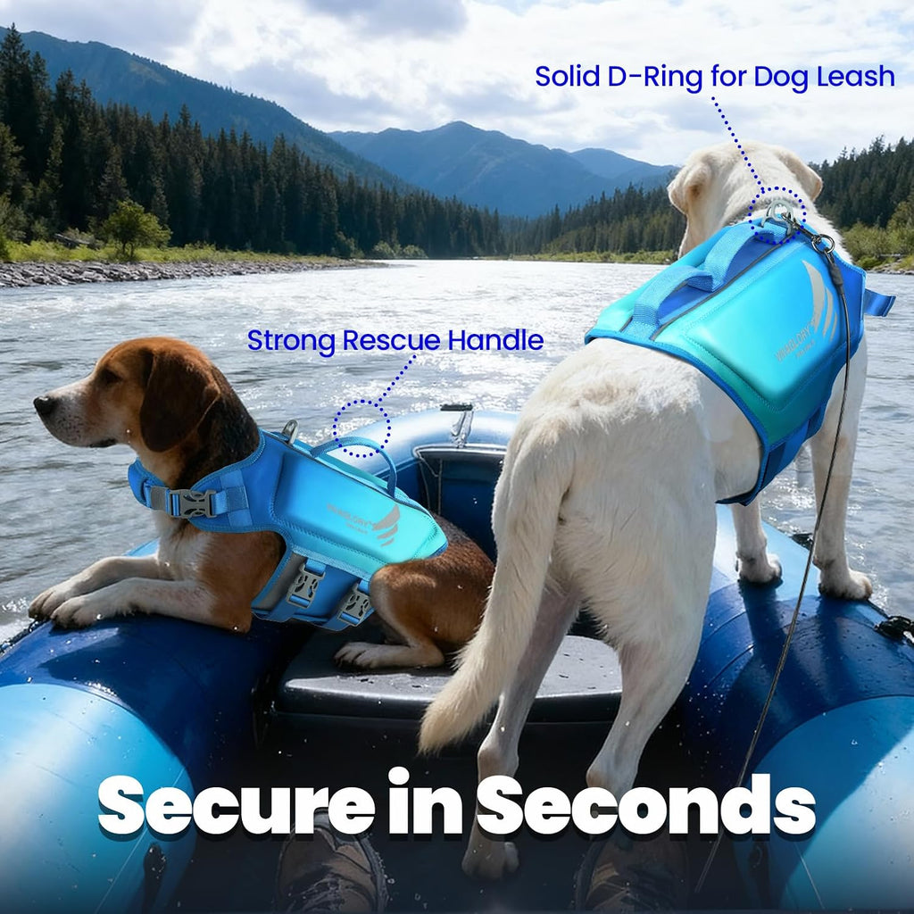 Dog Life Vest High Buoyancy Dog Swim Vest, M, Turquoise