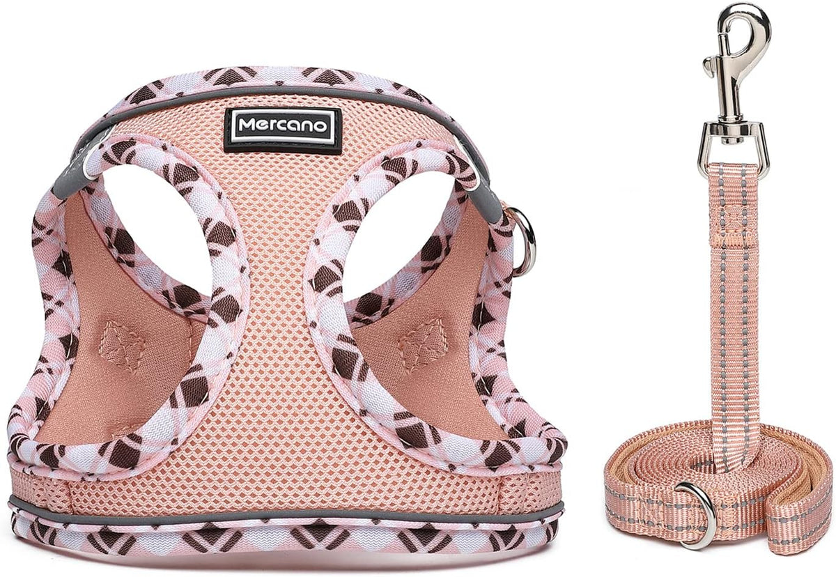 Soft Mesh Dog Harness and Leash Set, Step-In Reflective Breathable Lightweight Vest Harnesses with Safety Buckle for Small Dogs, Cats (Champagne, S)