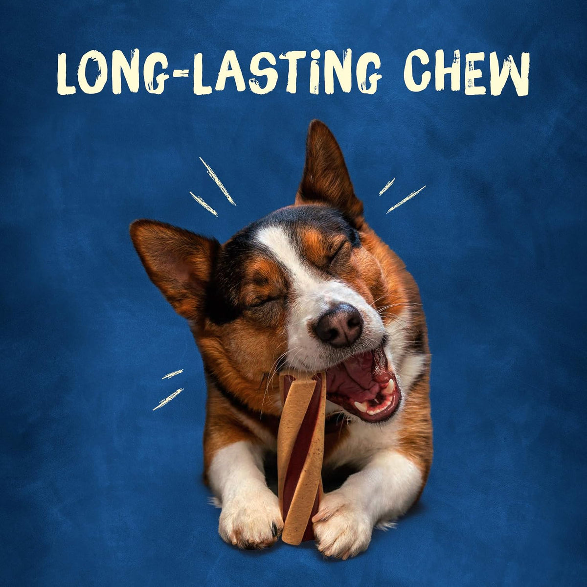 with Beggin Twisted Dog Treats, with Real Bacon, 10 Ct Pouch