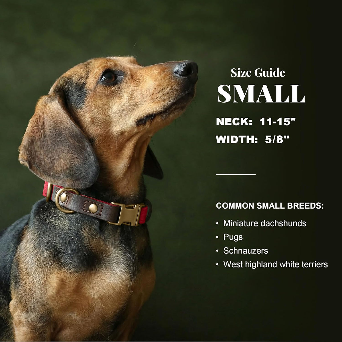 PU Leather Dog Collar for Small Dogs Puppy, Soft Lining, Red S